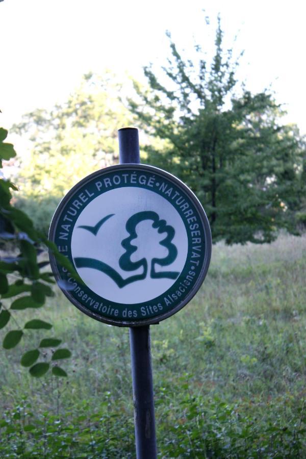 Cocon D'Argile Bed and Breakfast Bischoffsheim Eksteriør billede